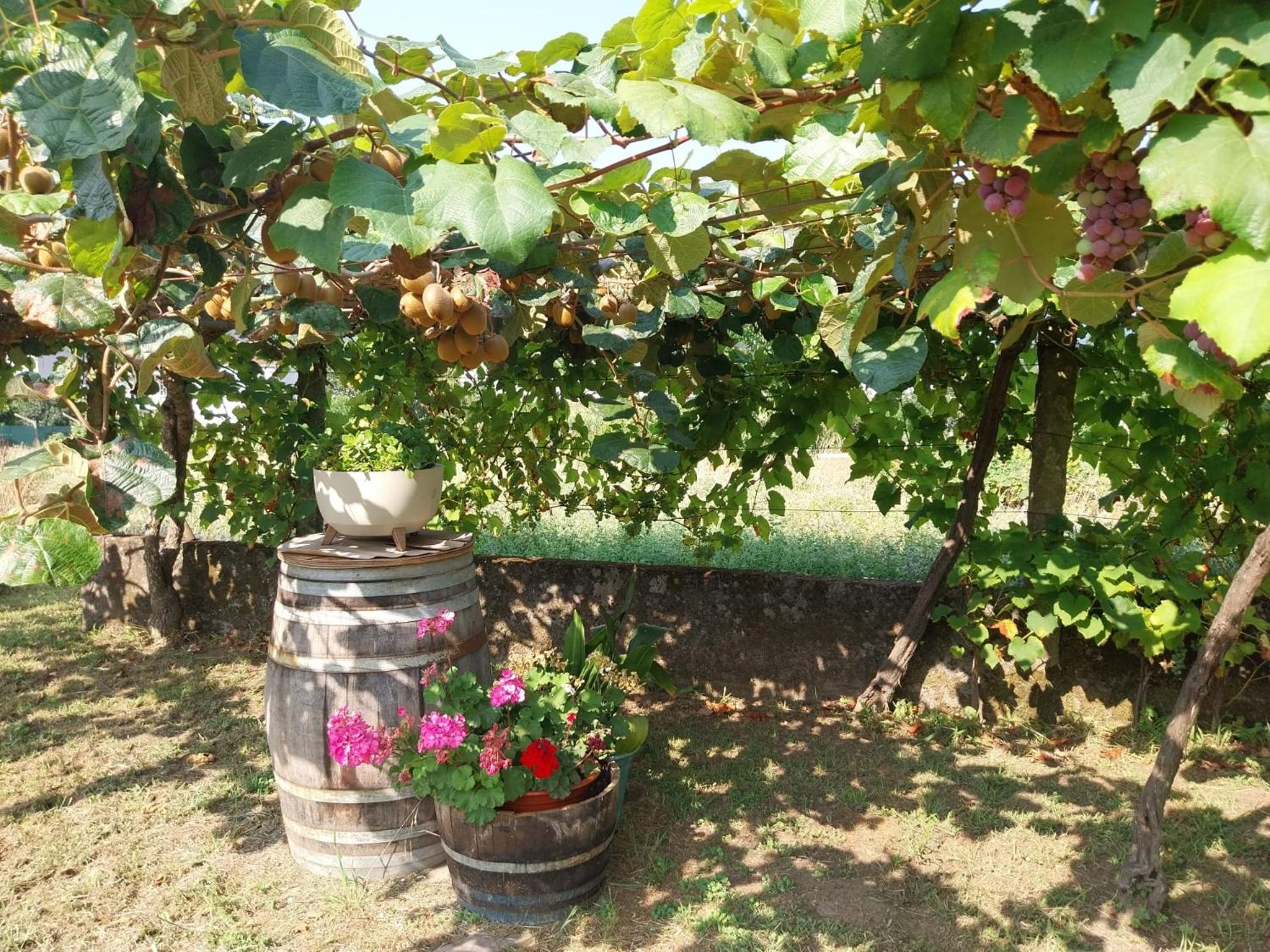O Berce Padron Casa Rural Exteriér fotografie